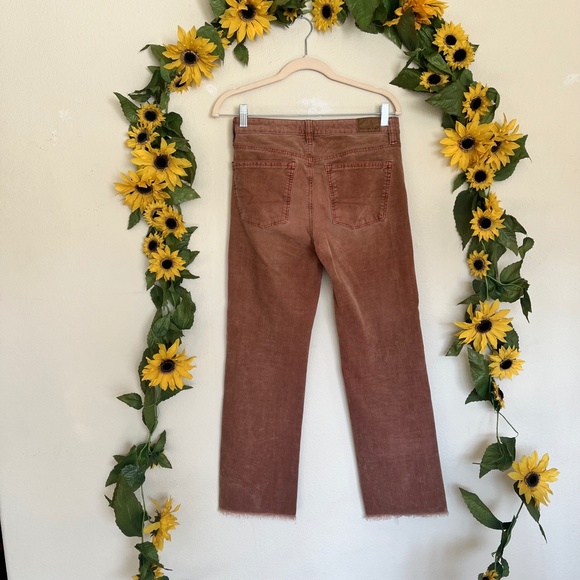 American Eagle Outfitters Brick Cropped Jeans - Picture 10 of 10